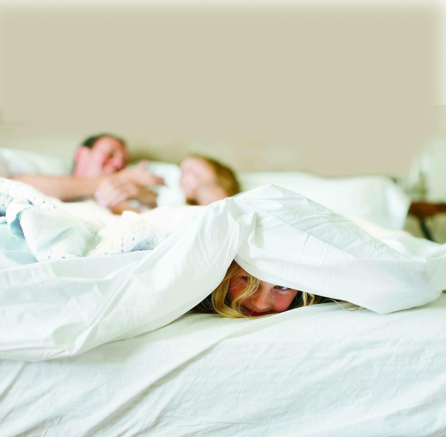 Quality Inn & Suites Alexandria Εξωτερικό φωτογραφία